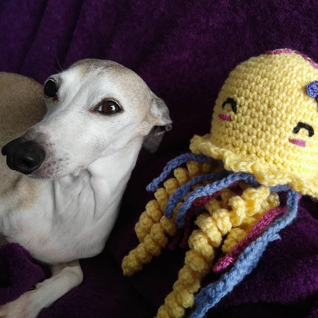 dog and crochet amigurumi jellyfish with acrylic yarn
